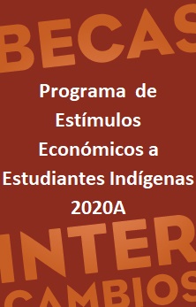 img_Estudiantes Indigenas 2020A