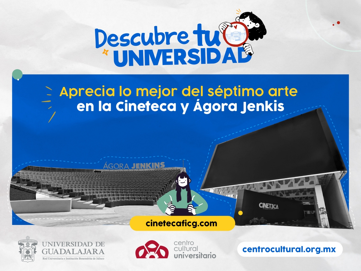 graficos-primer-ingreso_cultura-v2.jpg 