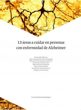 final_13-areas-portada_0_0.