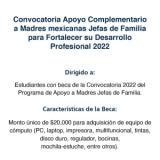 banners-red-beca-apoyo-complementario-conacyt-apoyo-madres-de-familia-2022_600x1000_0.actividades.jpg